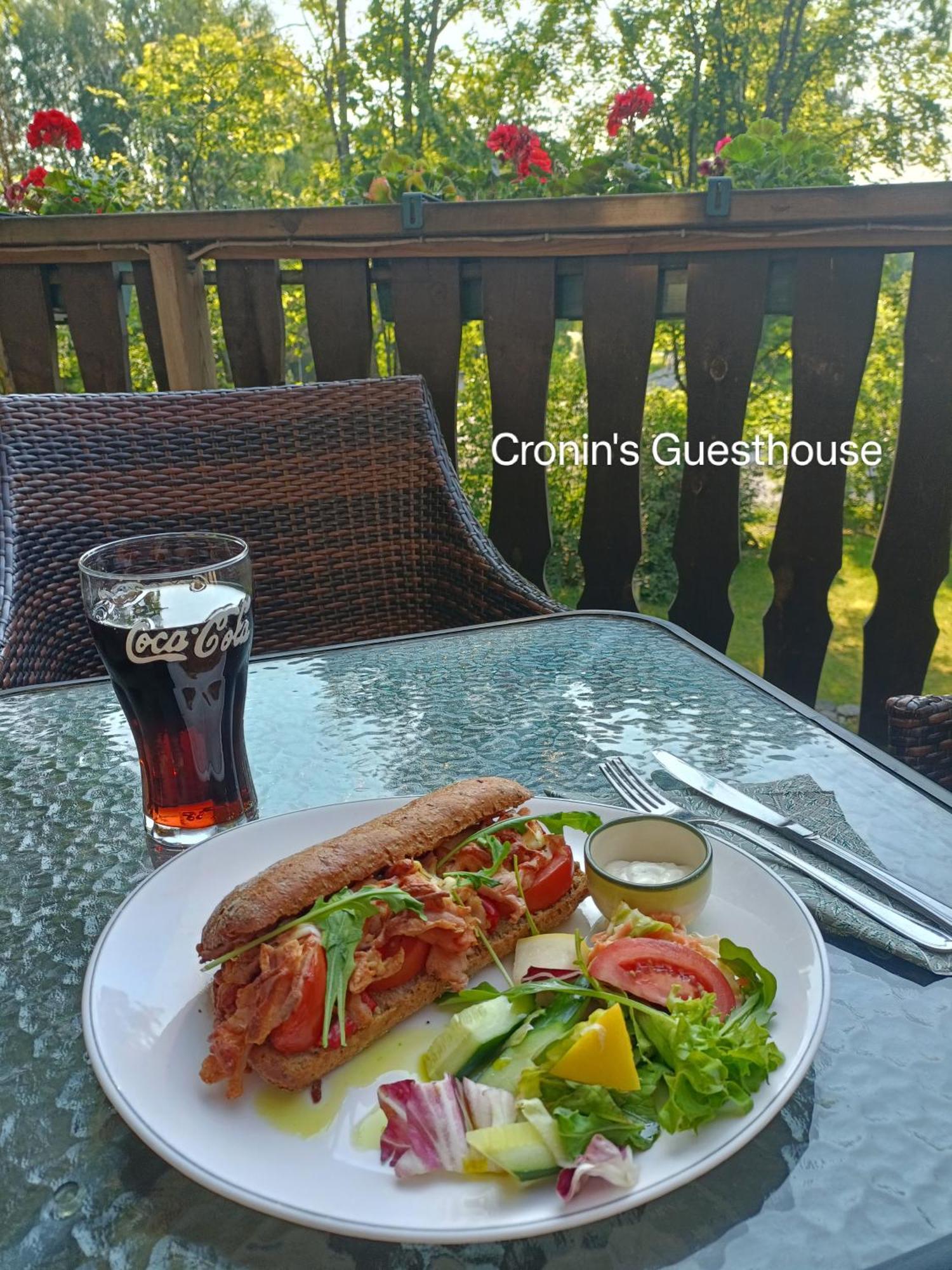 Cronin'S Guesthouse Bed & Breakfast Heinola Extérieur photo
