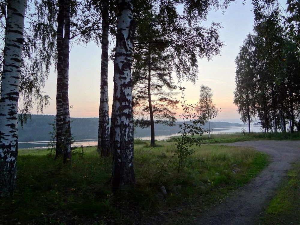Cronin'S Guesthouse Bed & Breakfast Heinola Extérieur photo
